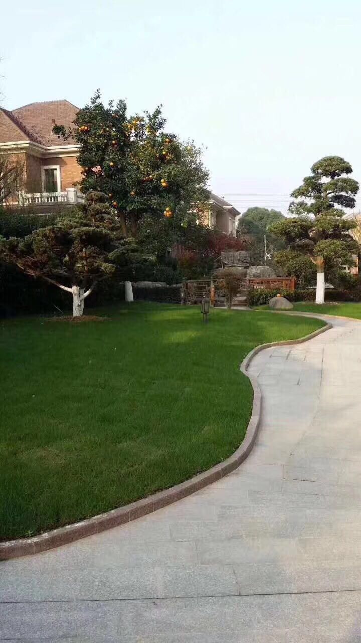 浅水湾   独栋庄园别墅   占地两亩起