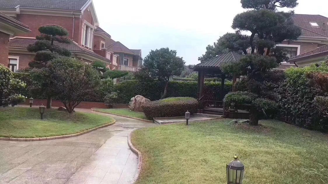 浅水湾   独栋庄园别墅   占地两亩起