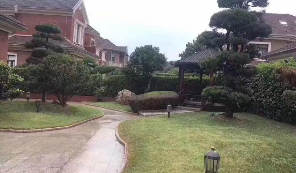 浅水湾   独栋庄园别墅   占地两亩起