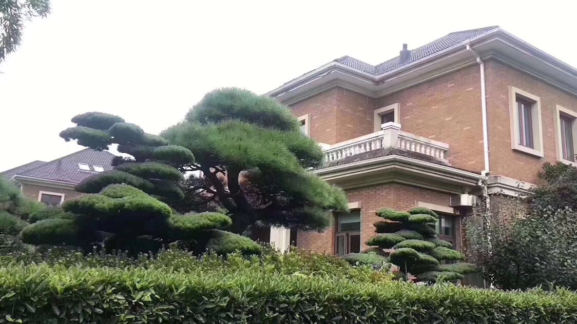 浅水湾   独栋庄园别墅   占地两亩起