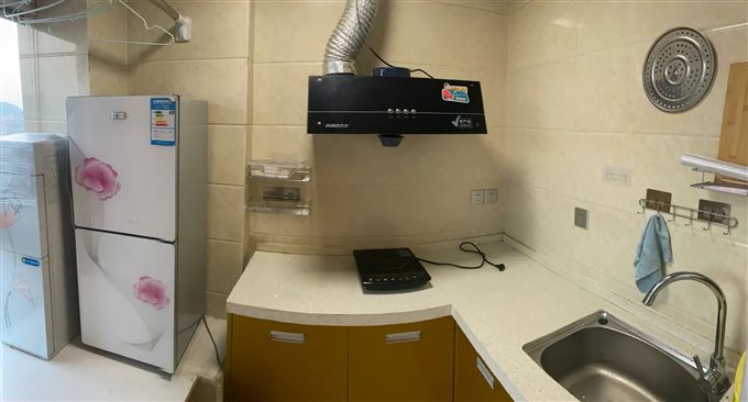 泰悦公寓58平130万实验上林双书包