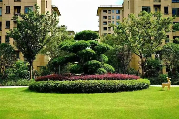 佳州锦苑120平方