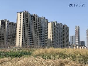 盛湖美庐 实景图