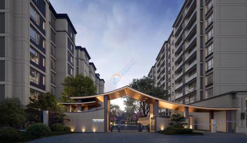 掌上明珠 效果图