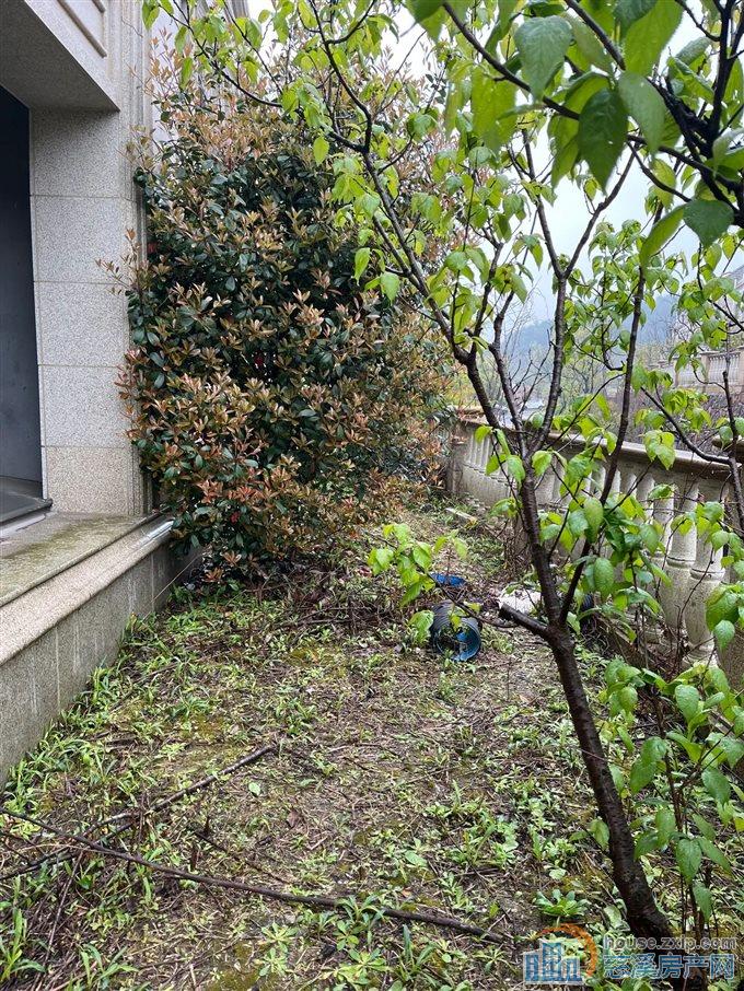 捡漏 峙山庄园 联排别墅 超高性价比