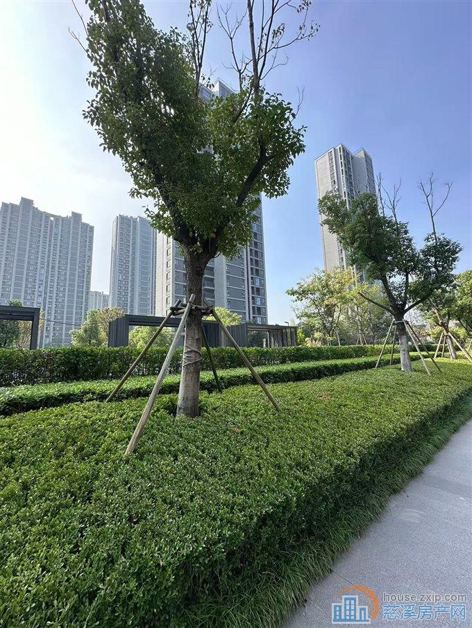 玉宸园192平334万一手现房 免中介费