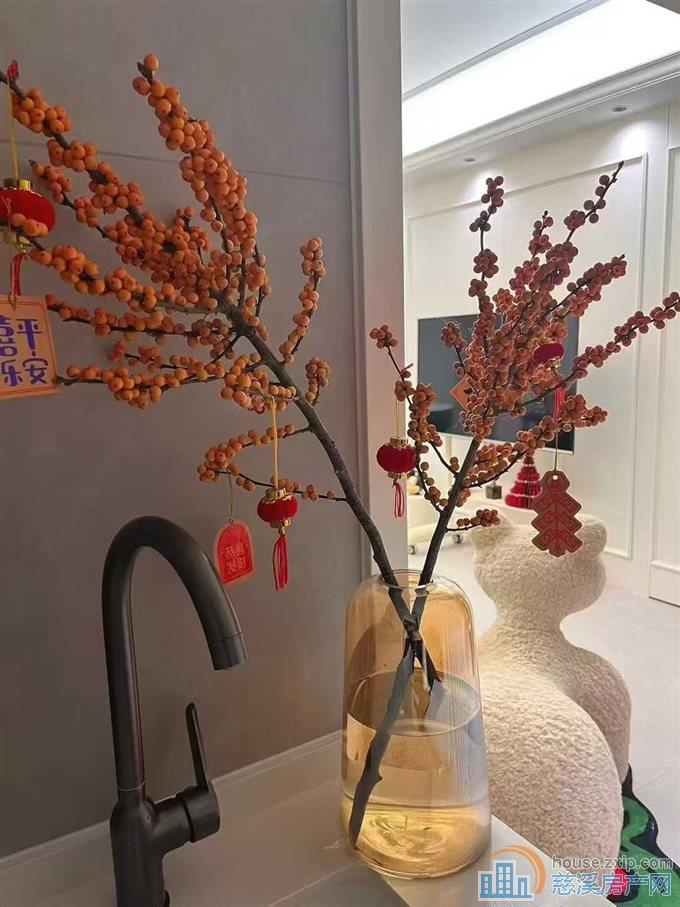 蔚蓝云图电梯洋房95平方法式豪华装修直接