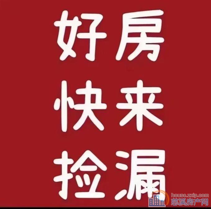 新河坊碧桂园泊蔚里175平方278万直接