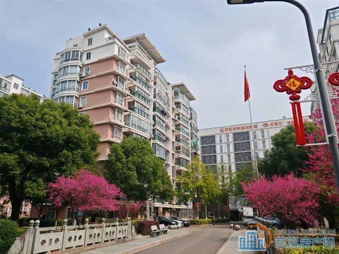 缔景湾楼层佳152平车位精装228万