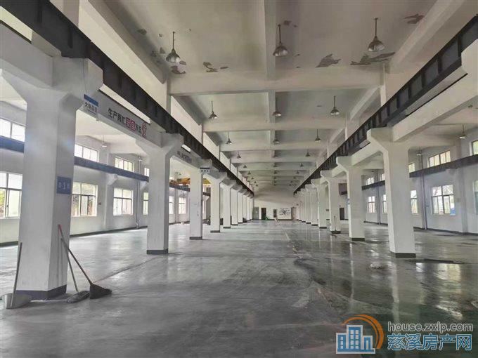 出租： 长河工业区独栋5800平，可分