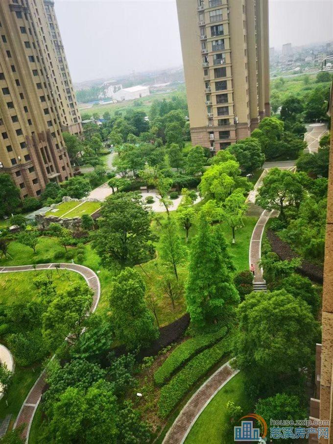 特价：宗汉白金湾205平景观楼层送车位