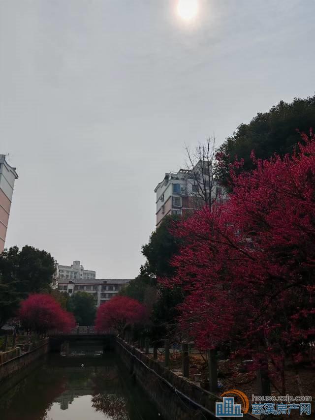 缔景湾楼层佳152平车位精装228万