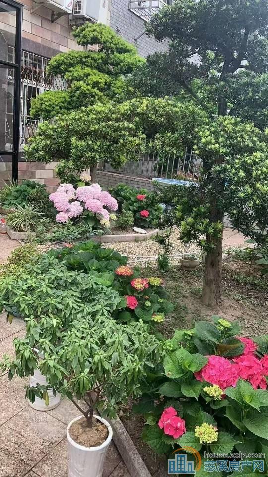 宗汉 保利 新界私房三通二 车开到