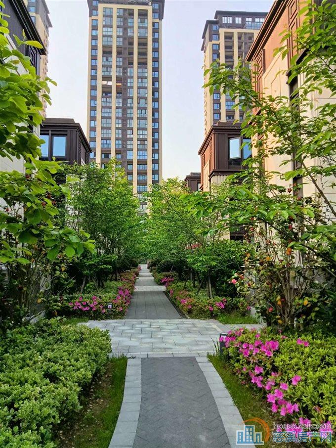 翡丽湾别墅  头排位置好 送三个车位