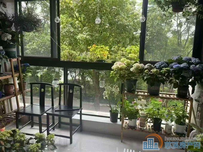 绿城诚园113平低楼层,踩光非常好