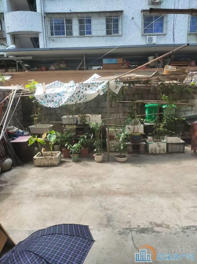 出租：园丁新村一楼带院子，1600