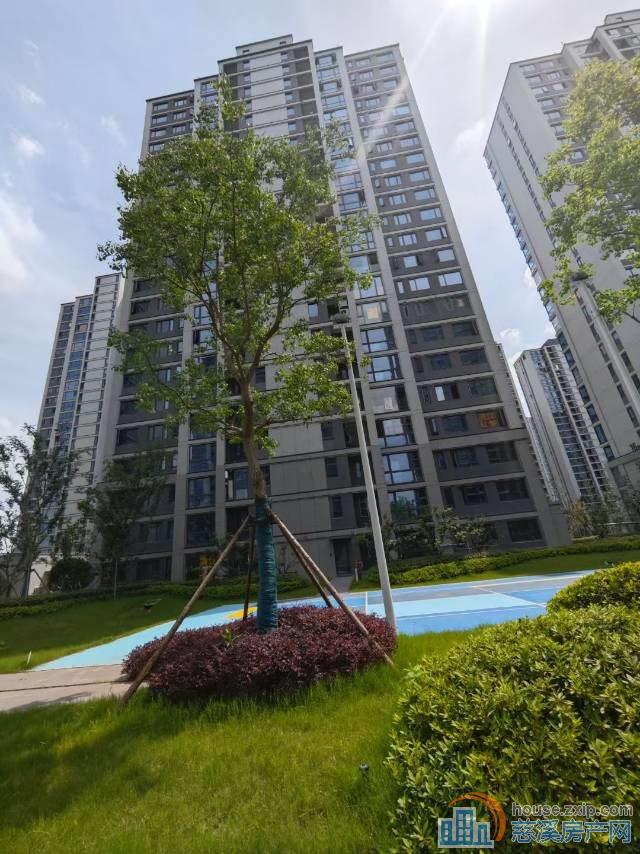 紫阙台大平层特价275平485万楼层佳