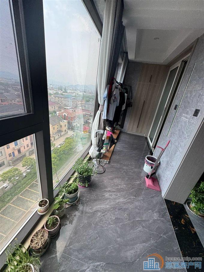 特价 凤鸣梧桐府 精装 带车位黄金楼层