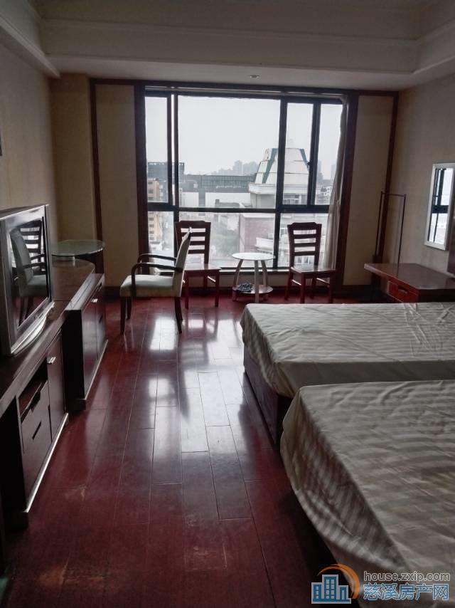 出租波斯曼700-1000元，直接