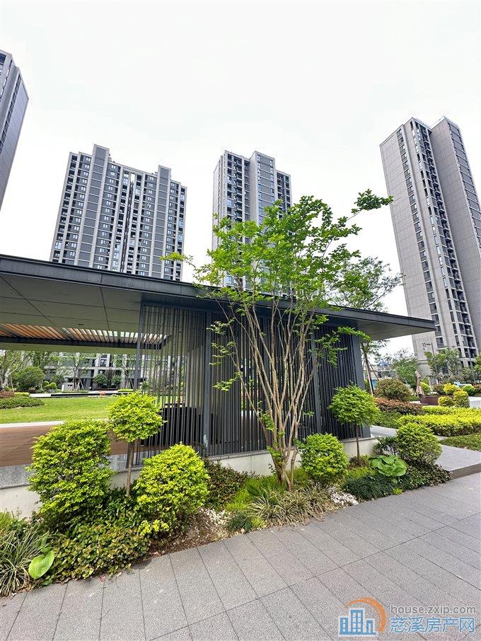 层高3.6米 新房 绿城物业145万