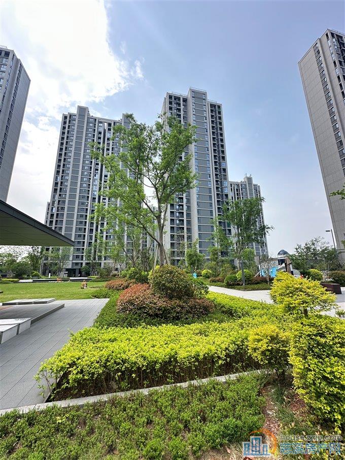 层高3.6米 新房 绿城物业145万