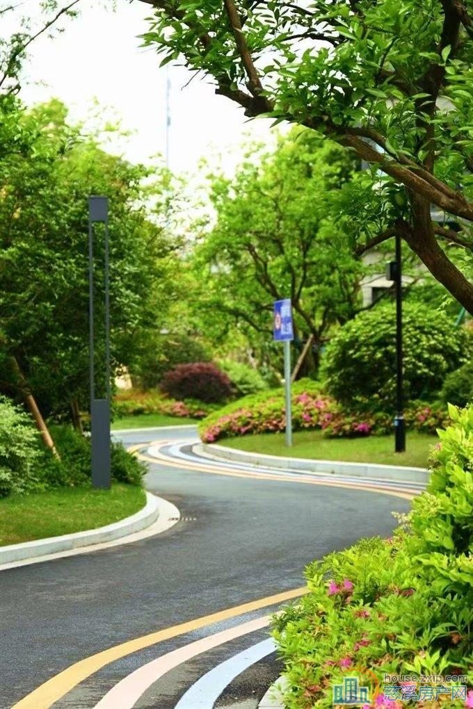 捡漏价！云颂府 133方洋房朝南四开间