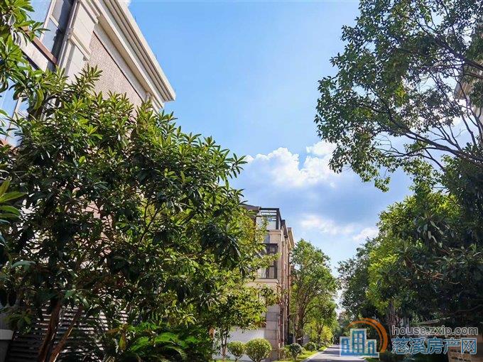 绿城物业 白金湾联排别墅 边套 