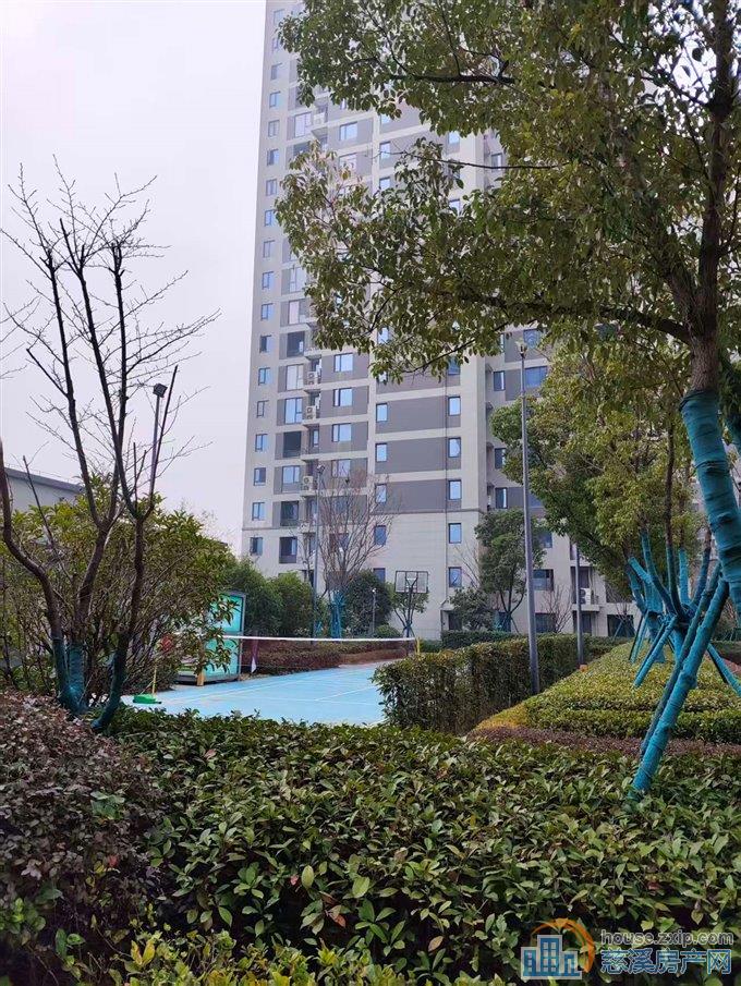 碧桂园泊蔚里朝南套   近新城河新河坊