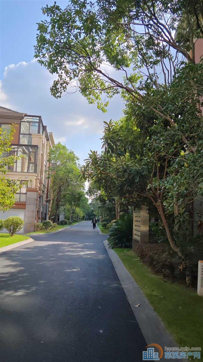 绿城物业 白金湾联排别墅 边套 