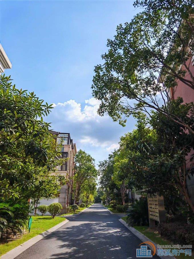 绿城物业 白金湾联排别墅 边套 