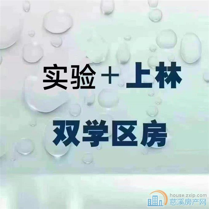 实验小学+上林中学可读书誉林府精装修直接