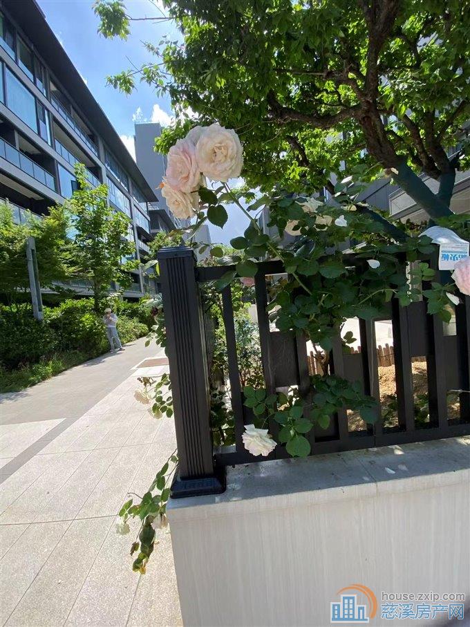 捡漏：中海湖心半岛花苑128万拿下一套房