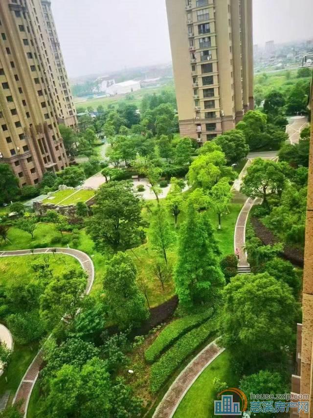 白金湾绿城物业167平167平方185万