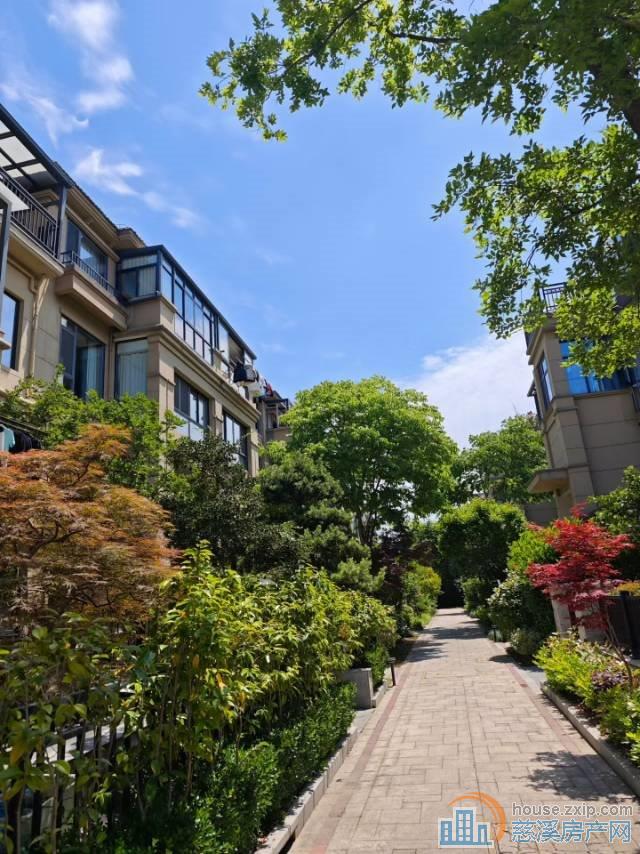 中梁泊景庭下叠179平豪装465万