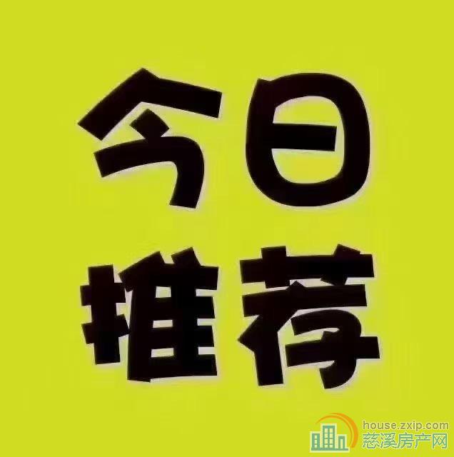 丽晶大厦全新61.5平59.8万直接